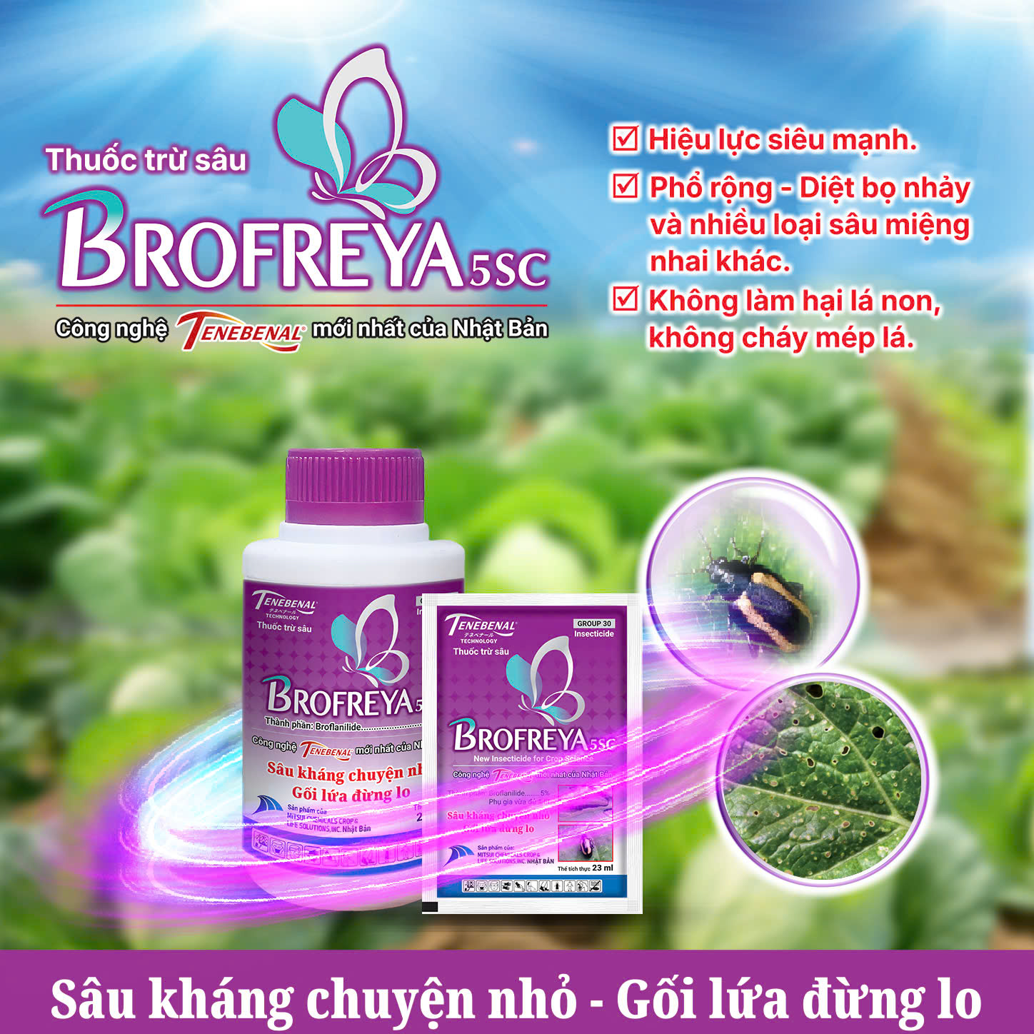 BROFREYA 5SC HIỆU QUẢ CAO TRỪ BỌ NHẢY